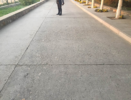 ͼƬ117.jpg
